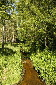 The creek Rion in the town of Brandérion
