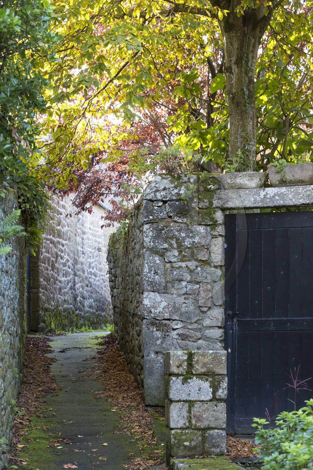 le bourg de la Trinite sur Mer