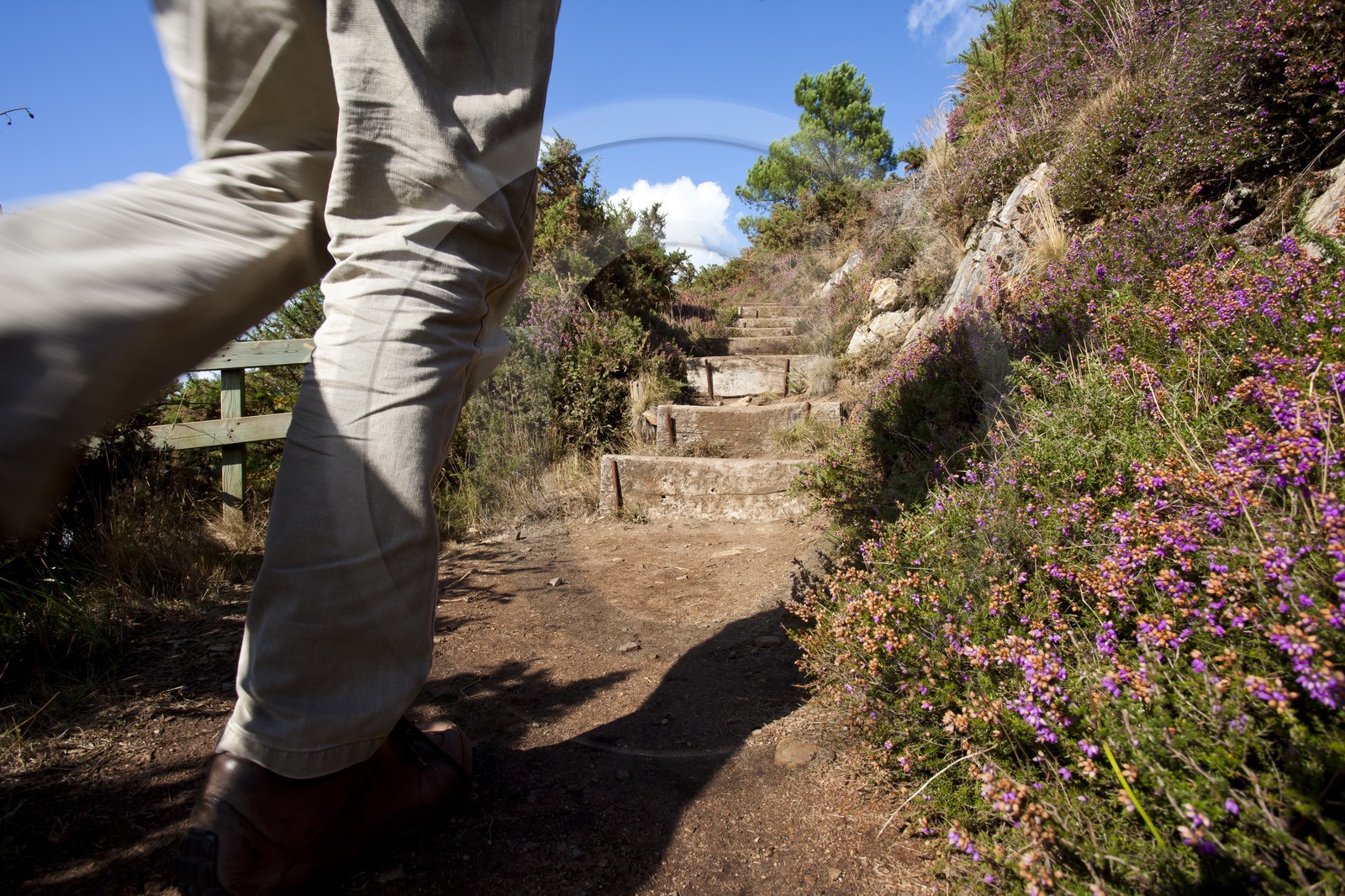 Pedestrian path along the river  La Laïta _Guidel