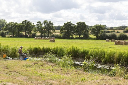 Brandefert in Plancoët