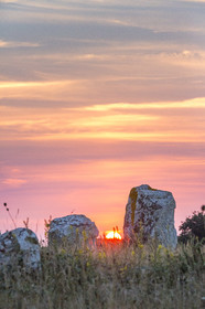 Les alignements de Kermario _ Carnac