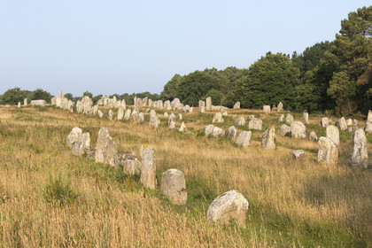 Les alignements de Kermario _ Carnac