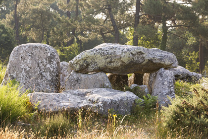 Les alignements de Kermario _ Carnac