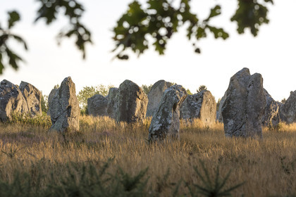 Les alignements de Kermario _ Carnac