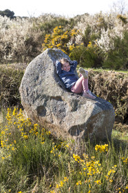Promenade dans les alignements du Ménec à Carnac