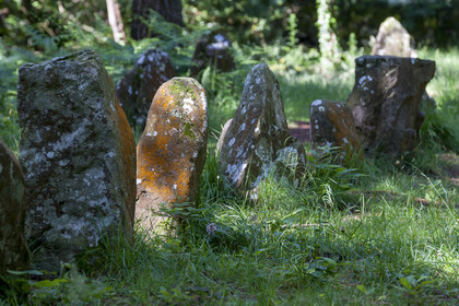 Alignements du Petit Menec _ La Trinite sur Mer