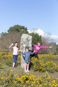 Promenade dans les alignements du Ménec à Carnac