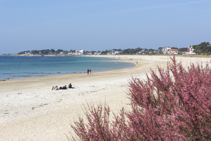 La grande plage de Carnac