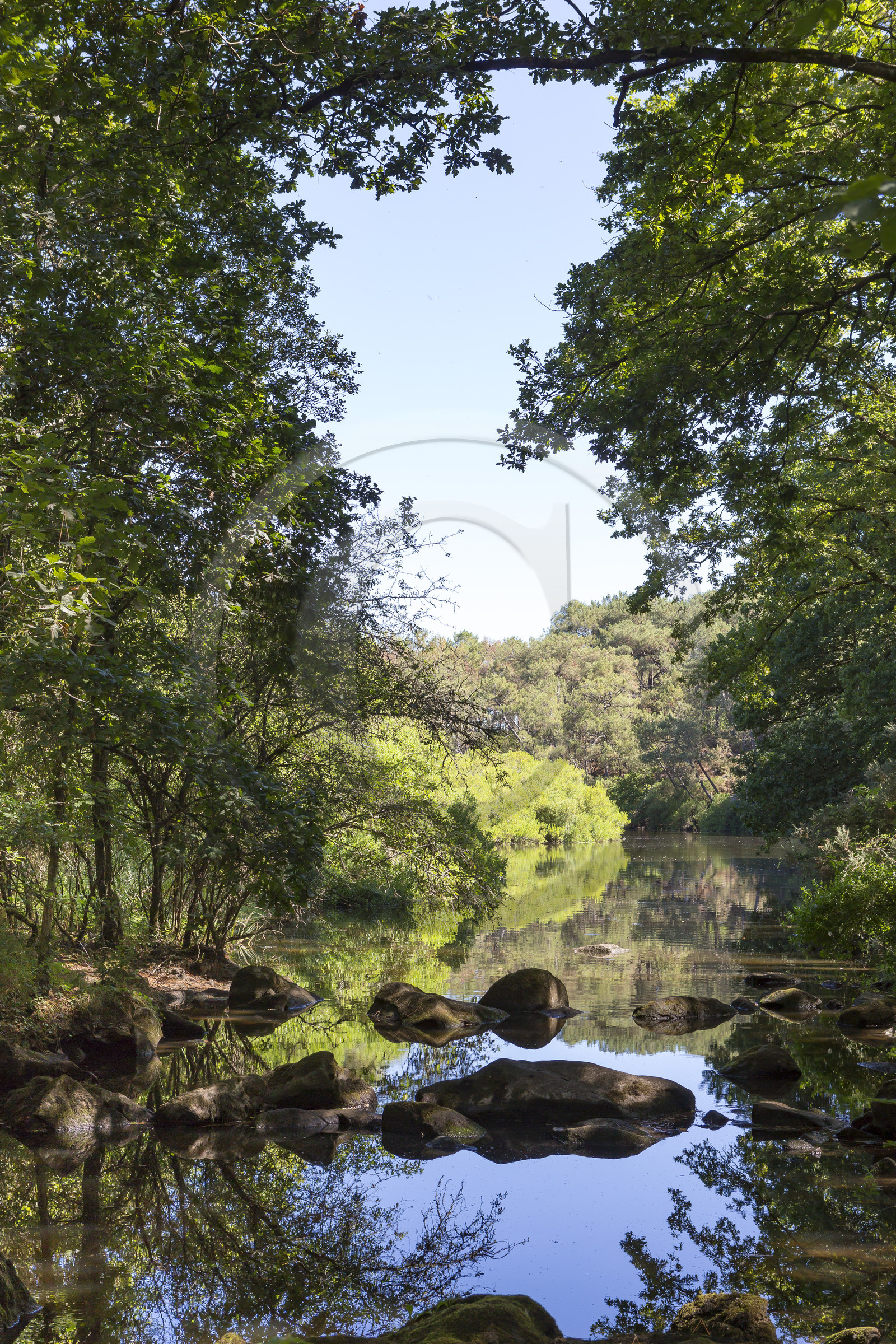 Le ruisseau du Gouyanzeur à Carnac