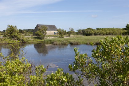 Le site de Kervillen _ La Trinite sur Mer