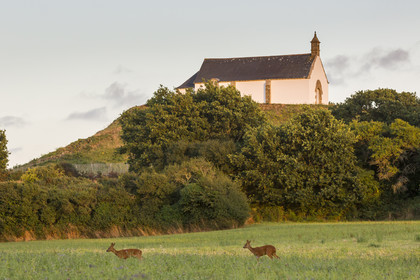 Le tumulus Saint-Michel à Carnac