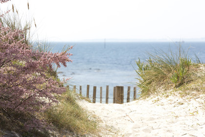 La grande plage de Carnac