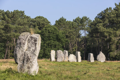 Les alignements de Kerlescan _ Carnac