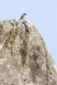 Alignements de Menhirs du Ménec à Carnac