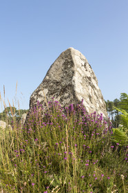 Les alignements de Kerlescan _ Carnac