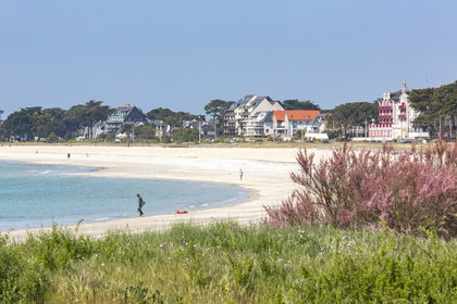 La grande plage de Carnac