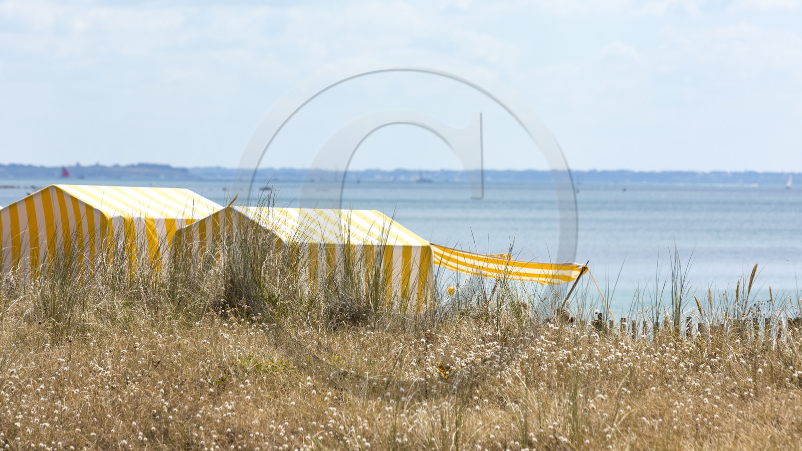 Grande plage de Carnac