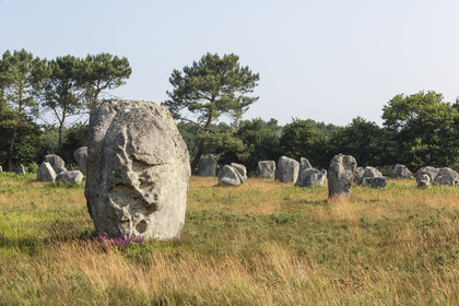 Alignements de Kerlescan à Carnac