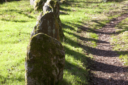 Alignements du Petit Menec _ La Trinite sur Mer
