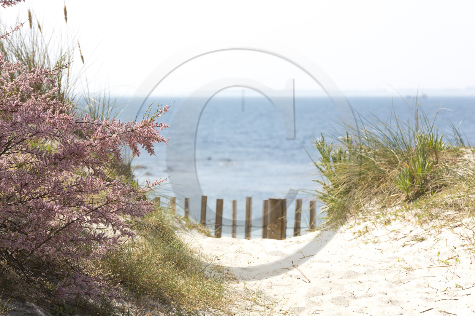 La grande plage de Carnac