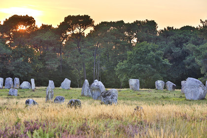 Les alignements de Kerlescan _ Carnac