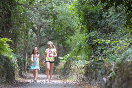 balade dans un chemin bordé par un petit mur en pierres sèches à Carnac