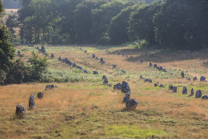 Les alignements de Kermario _ Carnac