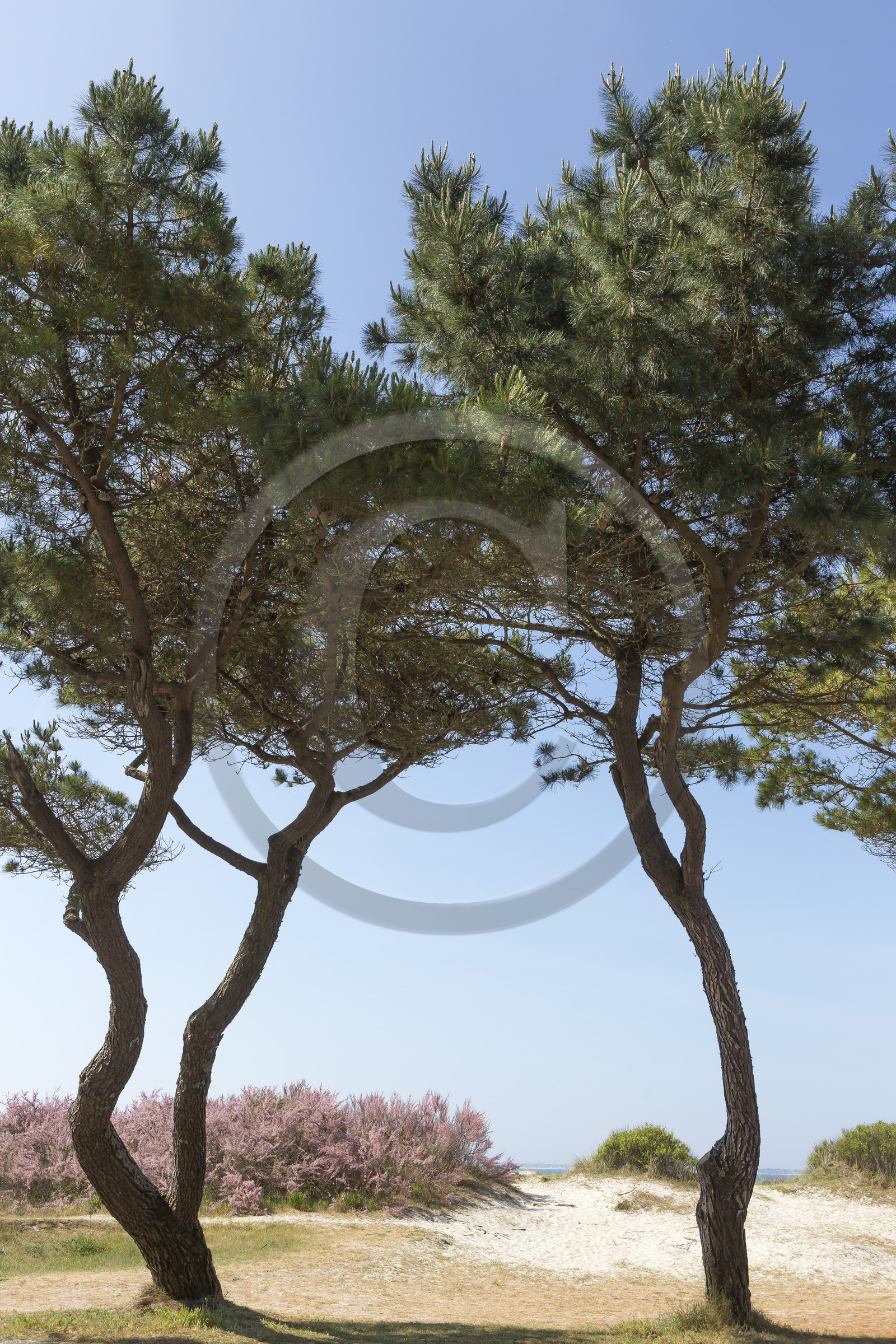 La grande plage de Carnac