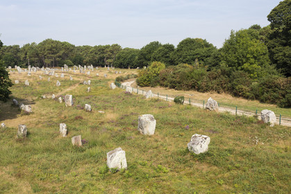 Les alignements de Kerlescan _ Carnac
