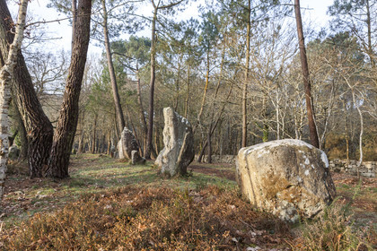 Alignements du Petit Menec _ La Trinite sur Mer