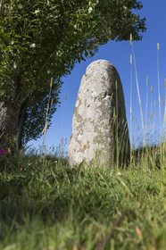 Menhir à St Colomban_Carnac