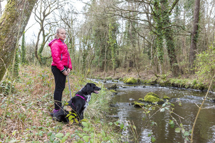 Balade le long du Gouyanzer à Carnac