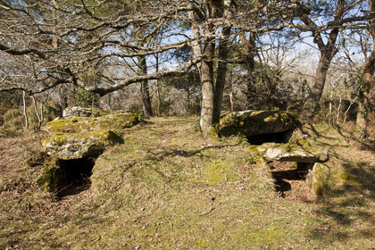 Dolmen de kervilor mane bras. La Trinite su Mer.