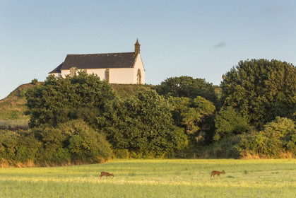 Le tumulus Saint-Michel à Carnac