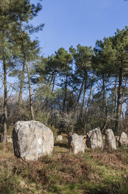 Alignements du Petit Menec _ La Trinite sur Mer