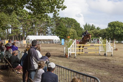concours equestre _ la Trinite sur Mer ( 56 )