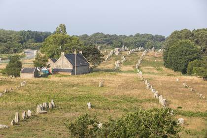 Les alignements de Kermario _ Carnac