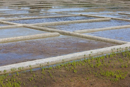 Le site de Kervillen _ La Trinite sur Mer