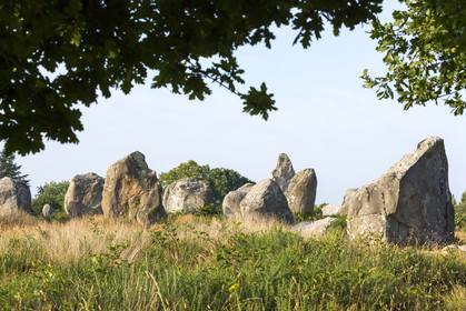 Les alignements de Kermario _ Carnac