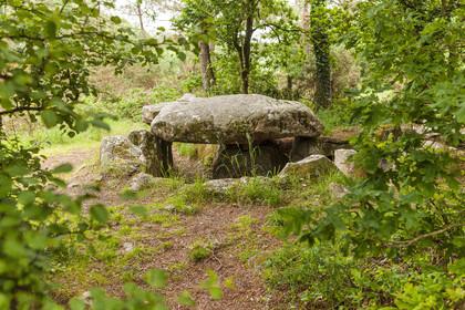 Dolmen de Kermarquer à la Trinité sur Mer