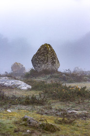 Les alignements du Menec à Carnac