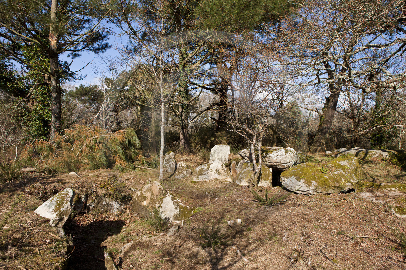 Dolmen de kervilor mane bras. La Trinite su Mer.
