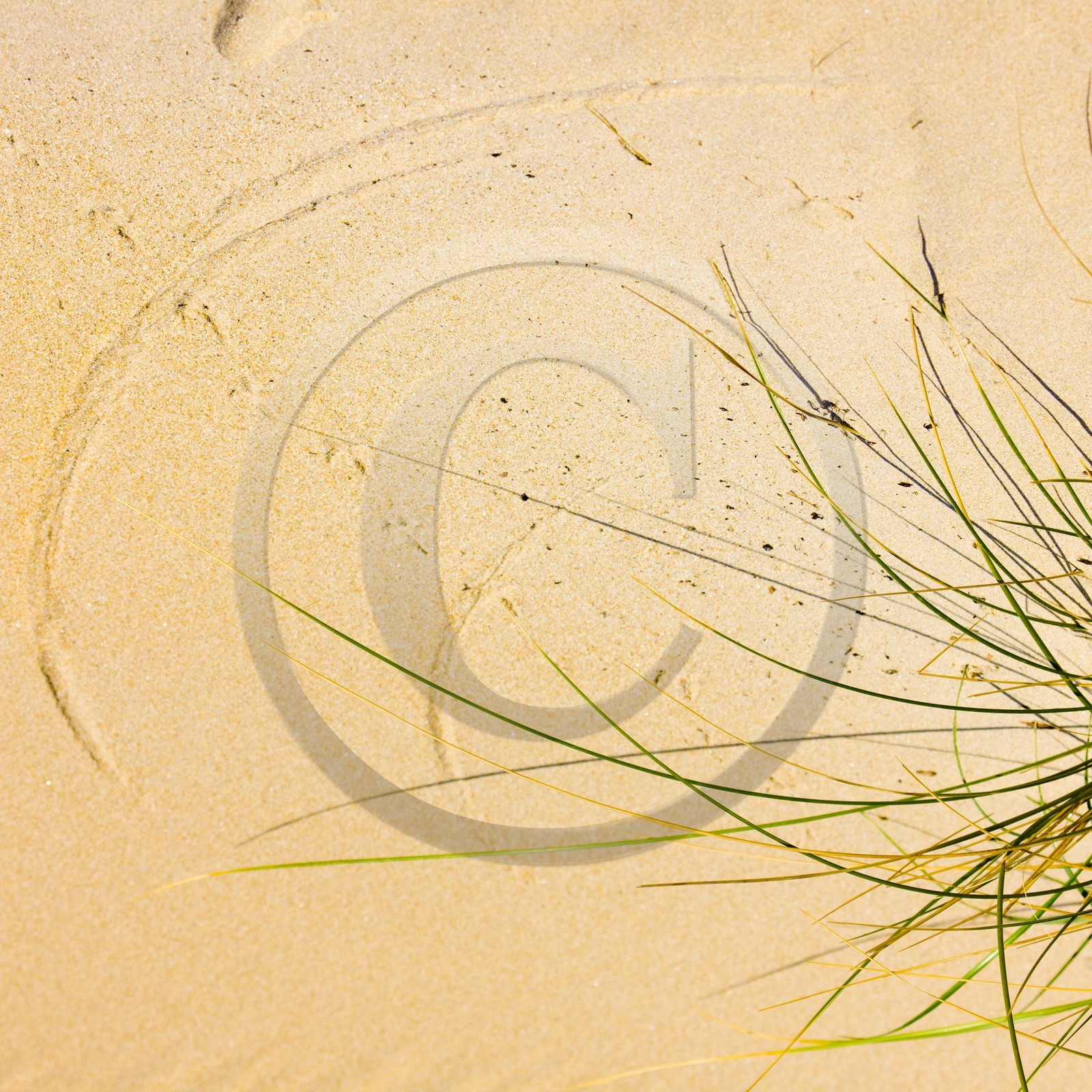 Jeux de lumière dans les dunes de sable d'Erdeven