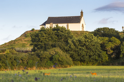 Le tumulus Saint-Michel à Carnac