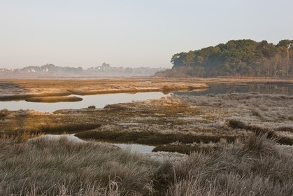 Anse de Kerdual _ La Trinité sur mer