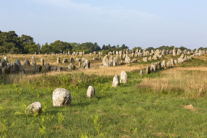 Les alignements de Kermario _ Carnac