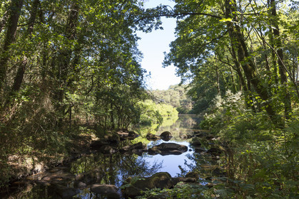 Le ruisseau du Gouyanzeur à Carnac
