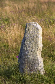 Les alignements de Kermario _ Carnac