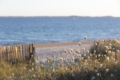 Grande plage de Carnac