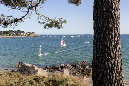 Funboard à la plage de Saint Colomban à Carnac